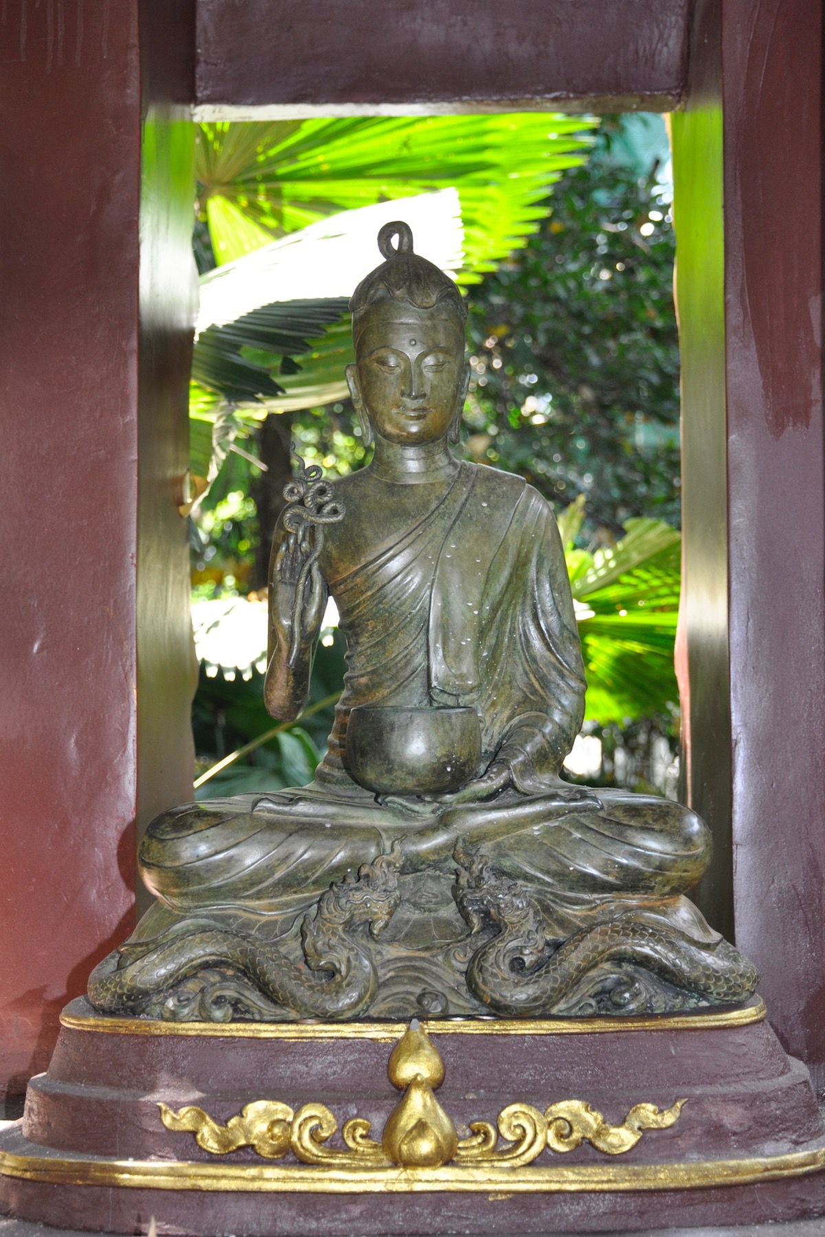 lotusbuddha