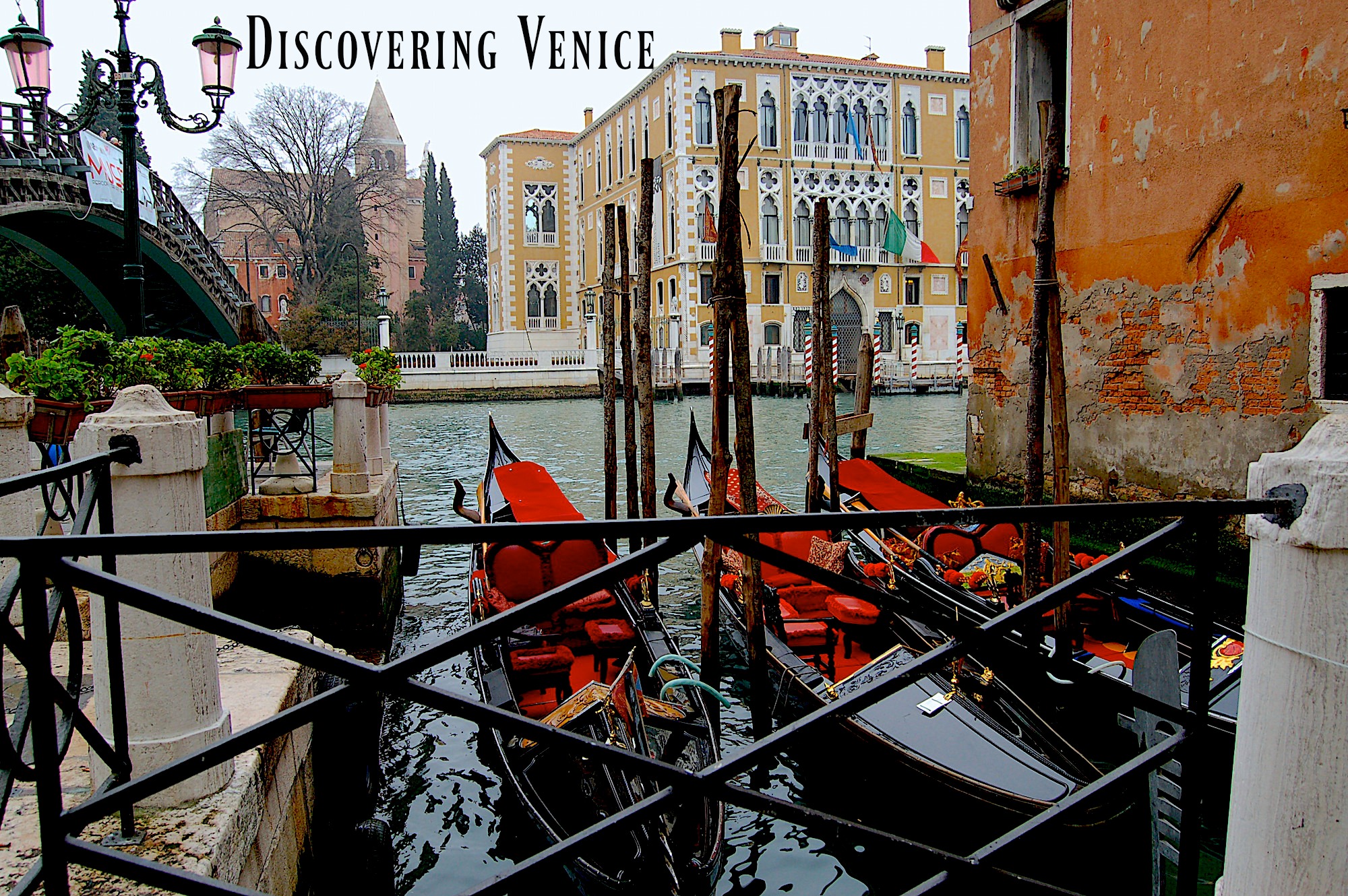 Take in the beautiful gondolas throughout Venice