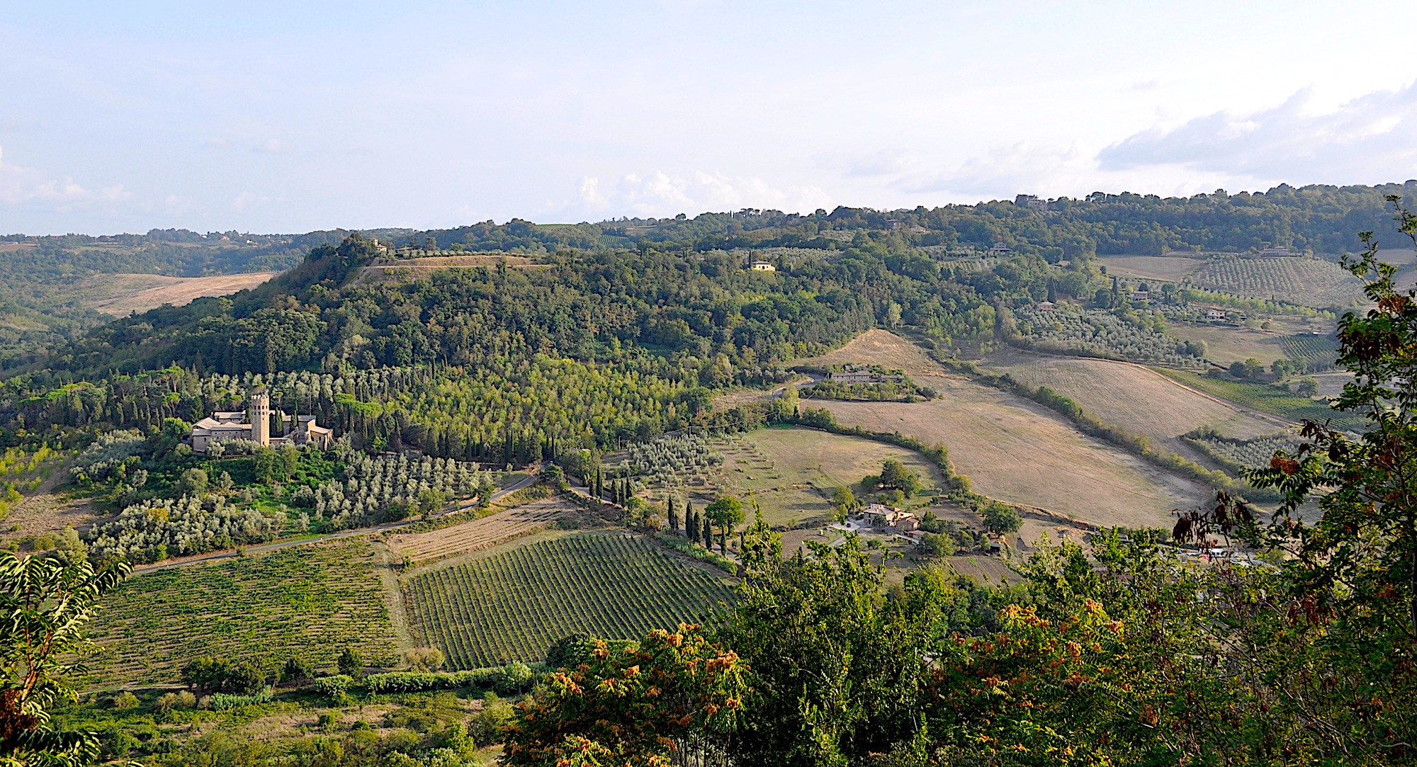 The countryside of Umbria Italy from Orvieto