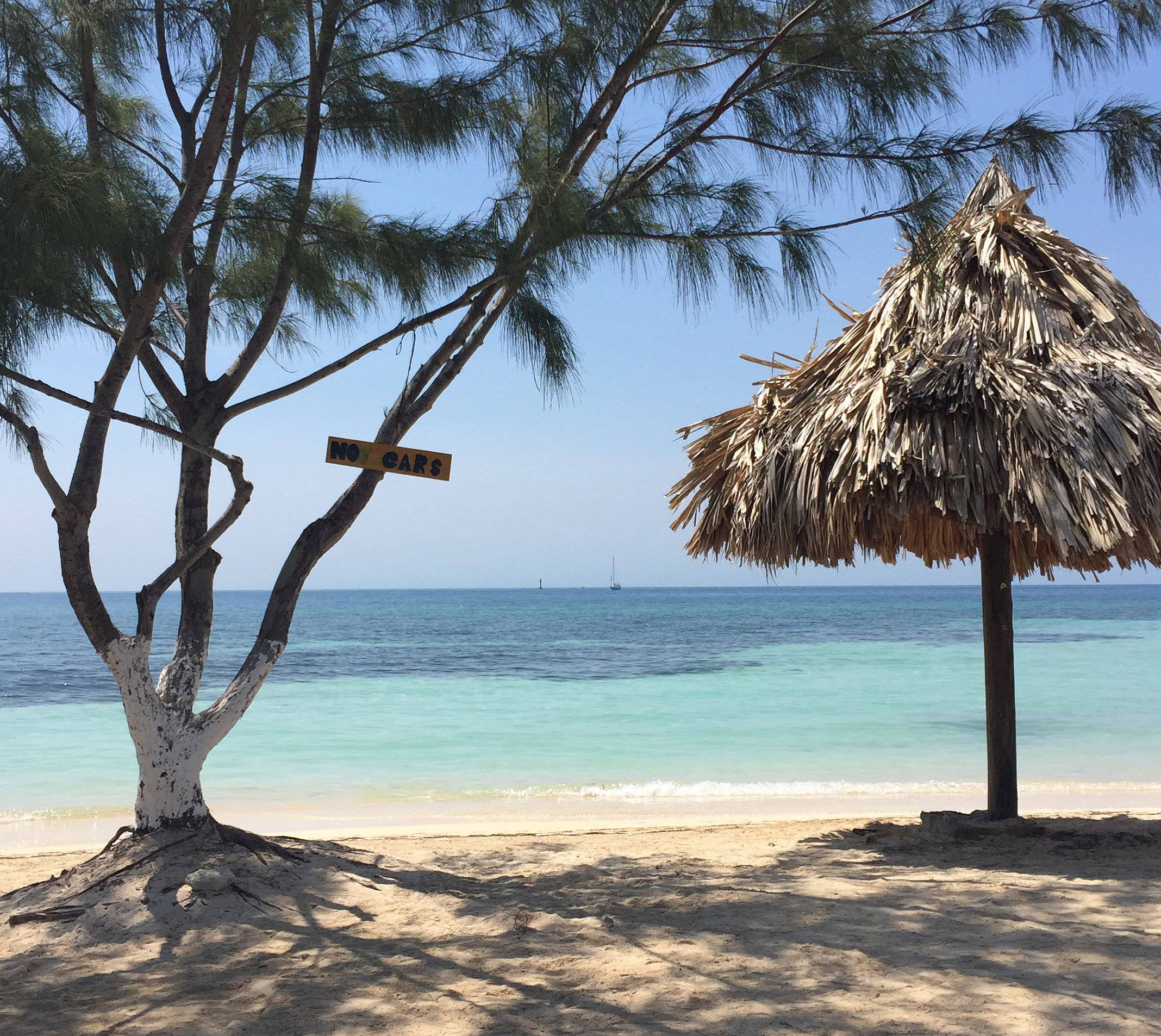 Beach scene with umbrella, tree and turquoise waters