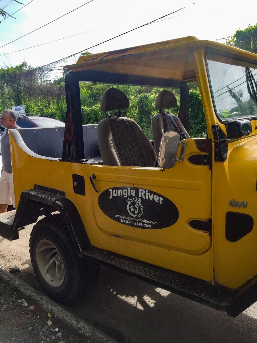 Antique Land Rover Jungle River