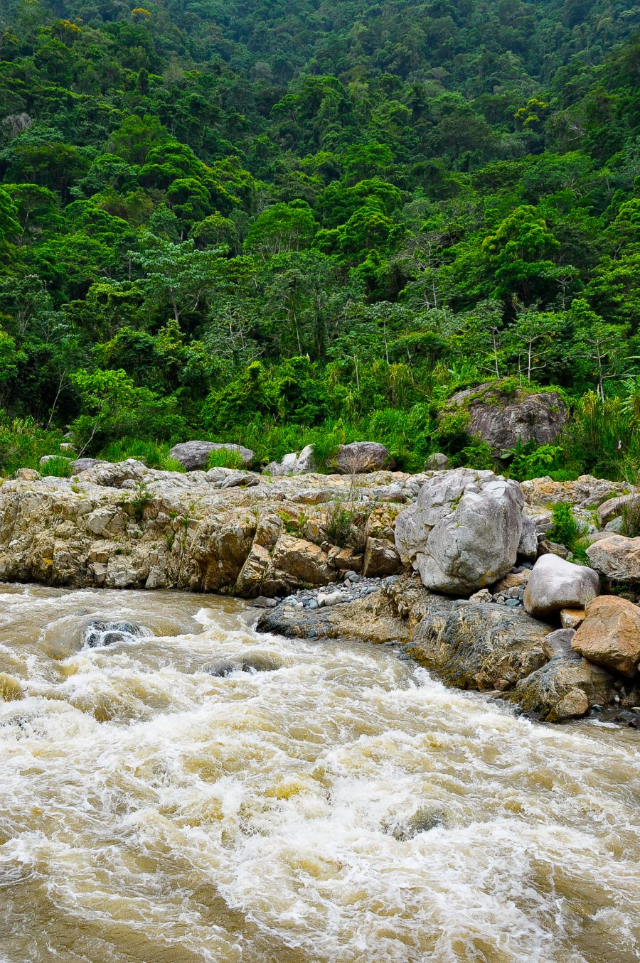 Jungle River Pico Bonito Honduras White Water Rafting