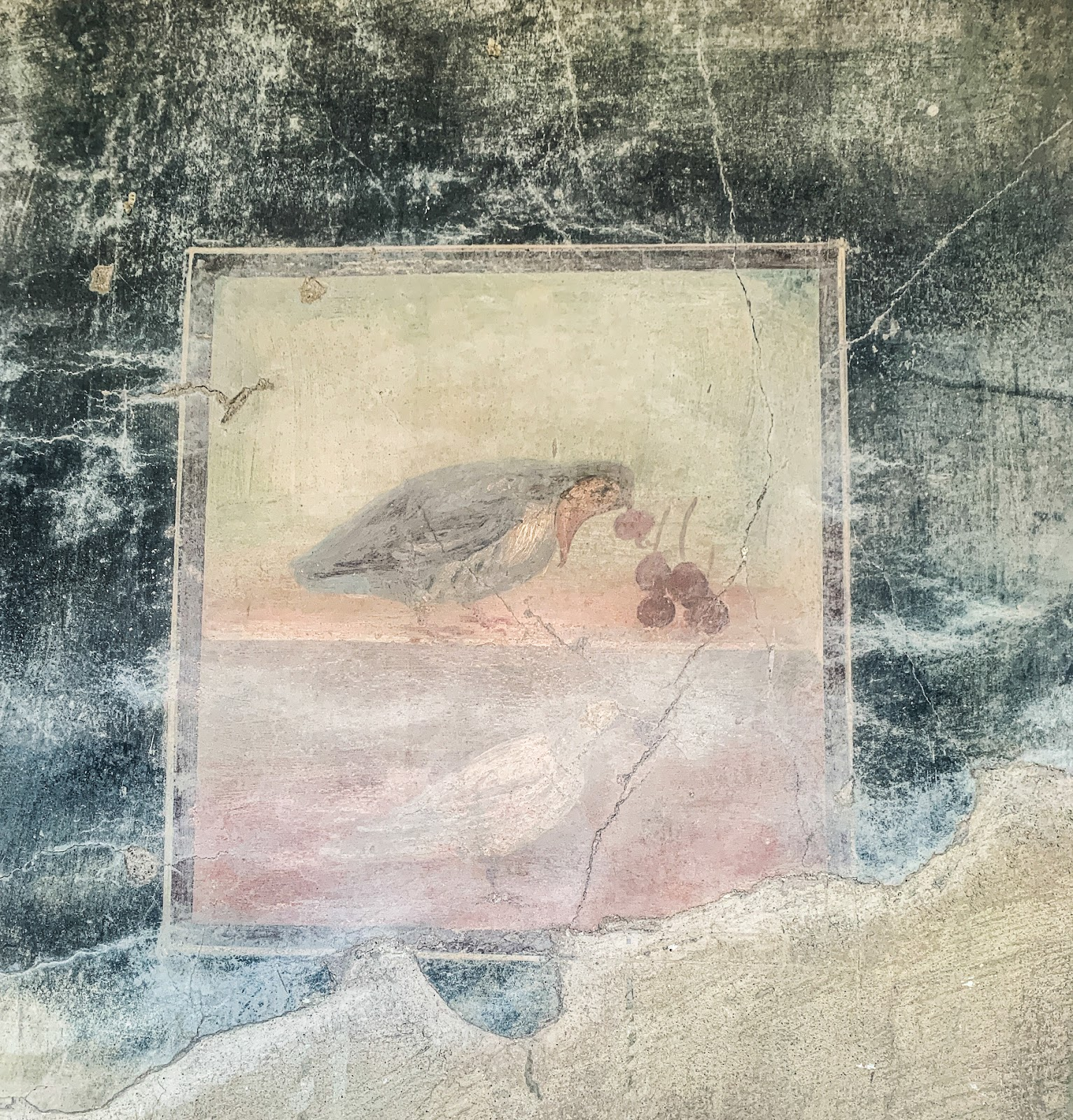 Herculaneum Bird Fresco