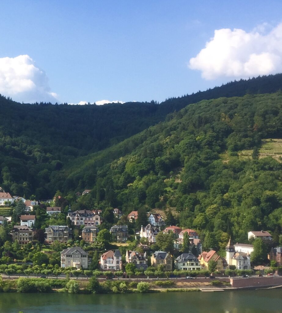Neckar River Heidelberg